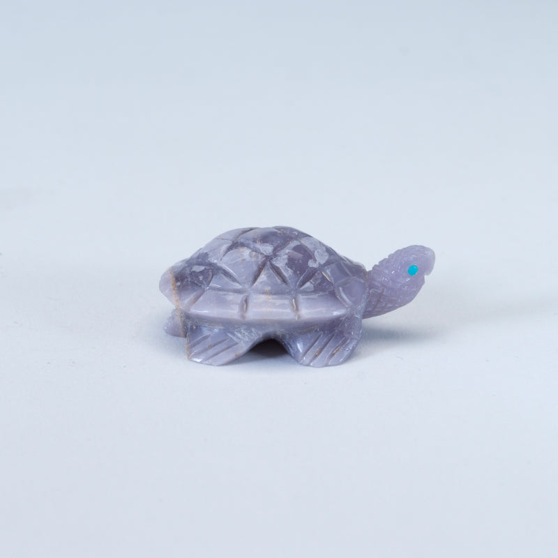 Lloyd Lasiloo: Young Fluorite, Turtle