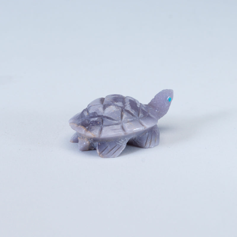 Lloyd Lasiloo: Young Fluorite, Turtle