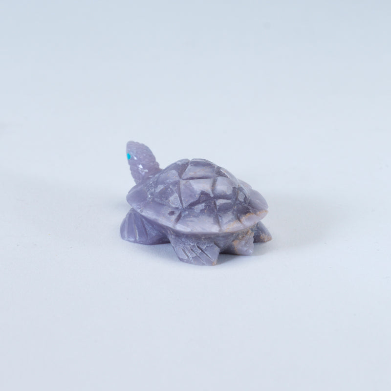 Lloyd Lasiloo: Young Fluorite, Turtle