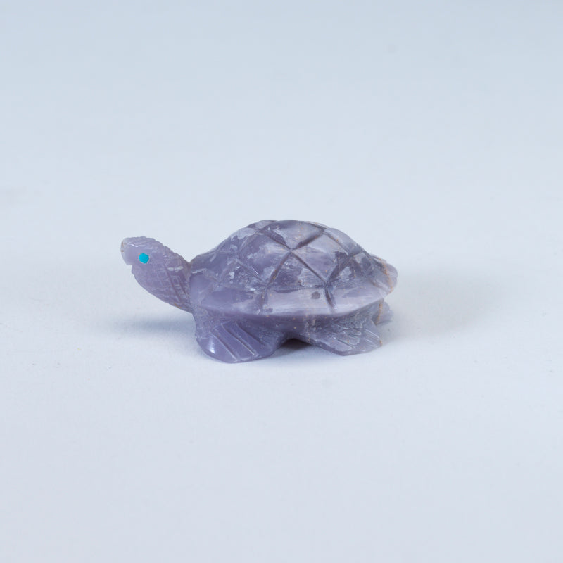 Lloyd Lasiloo: Young Fluorite, Turtle