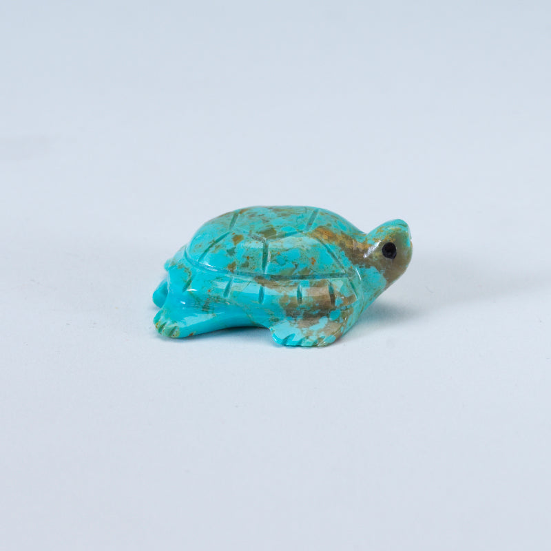 Daisy Natewa: Turquoise, Turtle