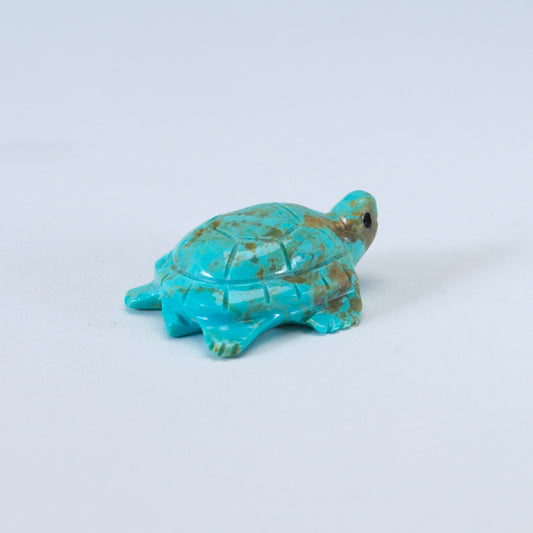 Daisy Natewa: Turquoise, Turtle