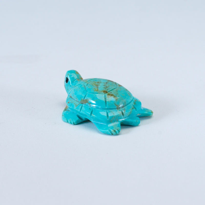 Daisy Natewa: Turquoise, Turtle