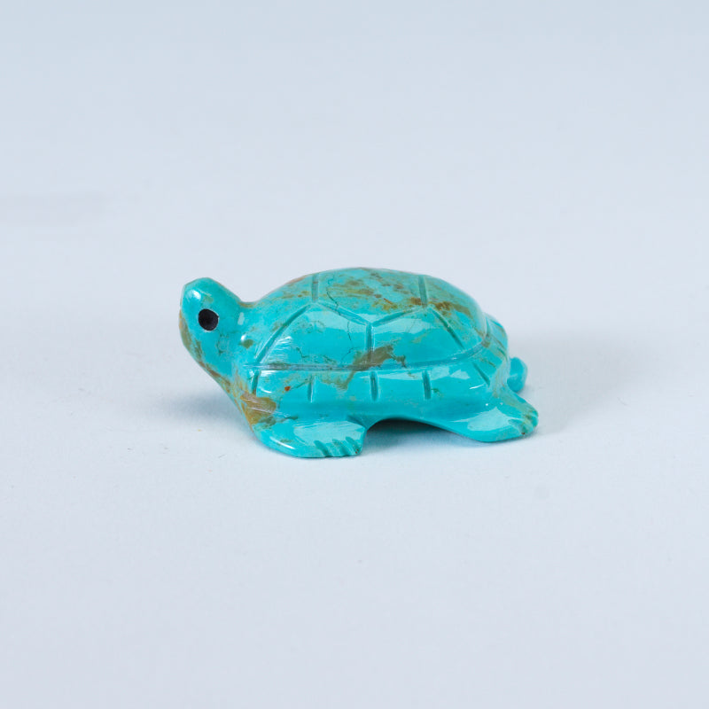 Daisy Natewa: Turquoise, Turtle