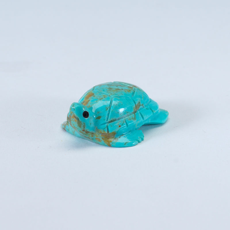 Daisy Natewa: Turquoise, Turtle