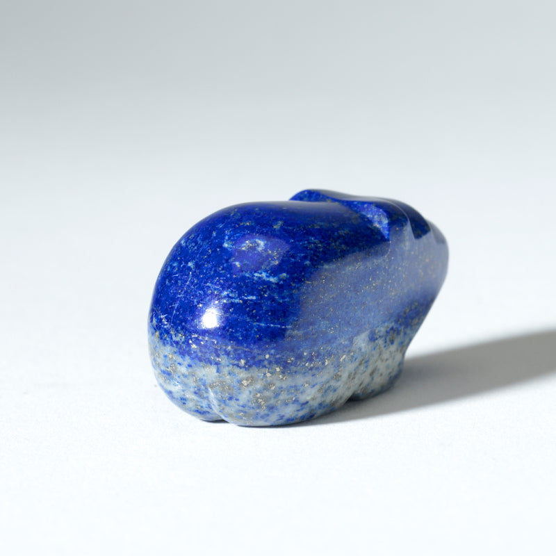 Abby Panteah: Lapis Lazuli, Bear