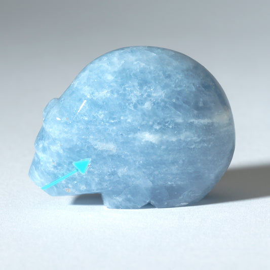 Abby Panteah: Blue Calcite, Bear