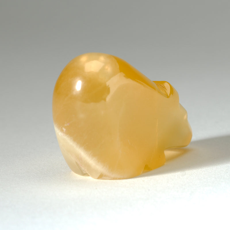 Abby Panteah: Honey Onyx, Bear