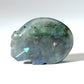 Abby Panteah: Labradorite, Bear