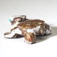 Mick Romancito (d): Magnesite, Horned Toad