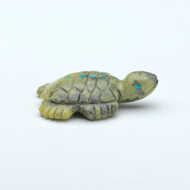 Marilyn Quam: Serpentine , Turtle