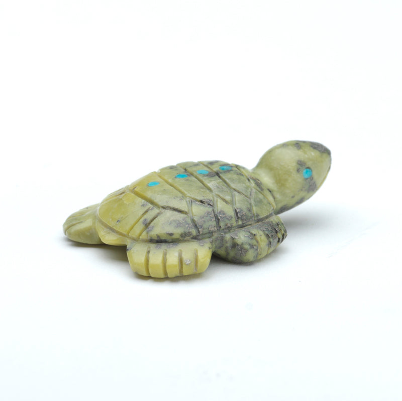 Marilyn Quam: Serpentine , Turtle