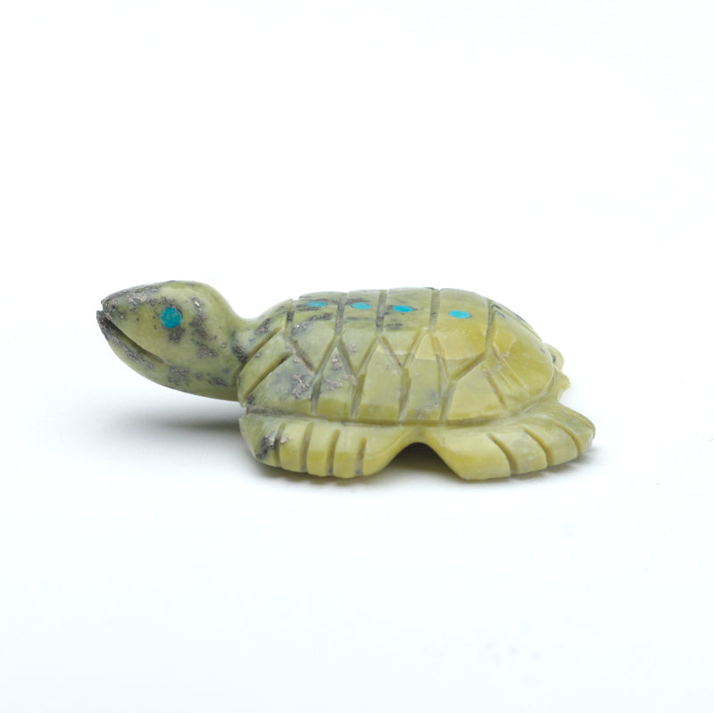 Marilyn Quam: Serpentine , Turtle