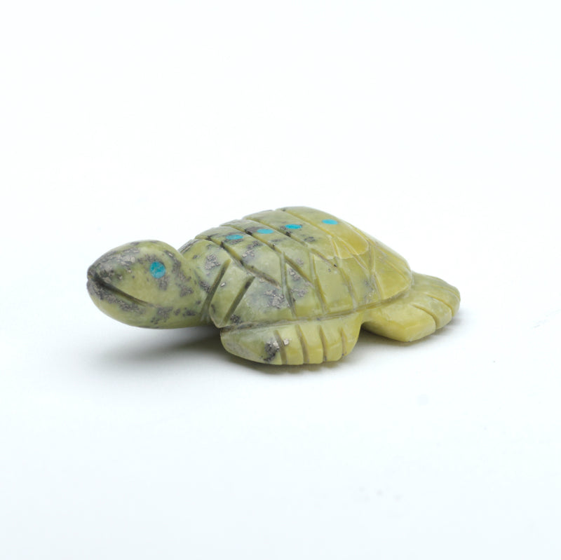 Marilyn Quam: Serpentine , Turtle