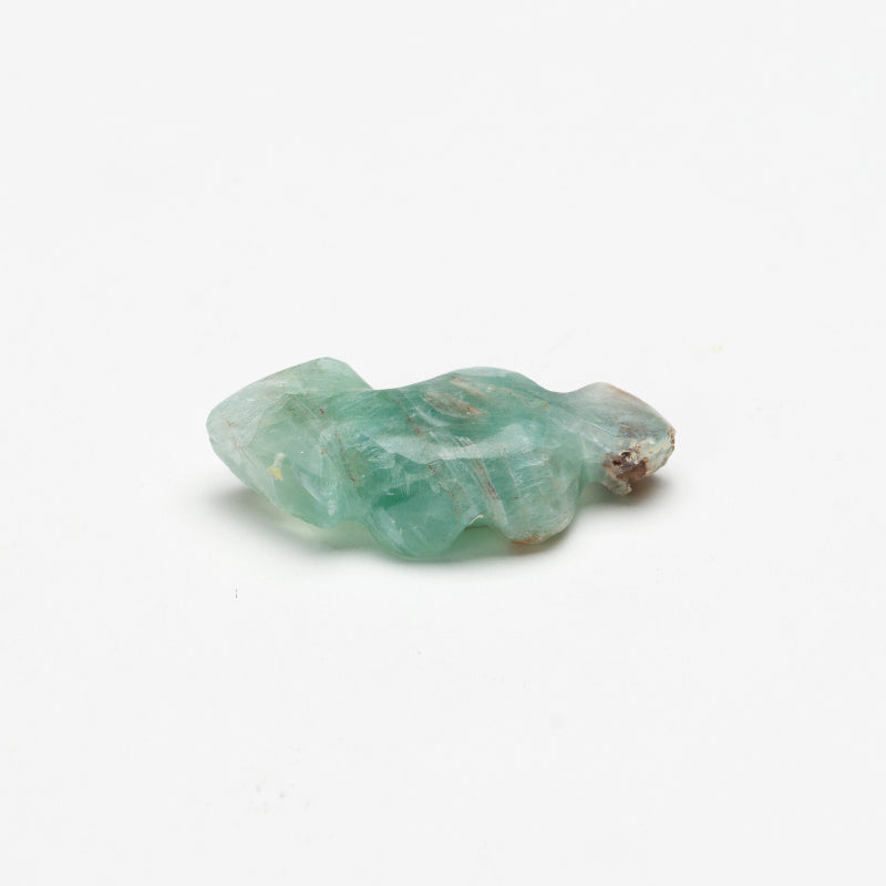 Benina Kallestewa: Flourite, Lizard