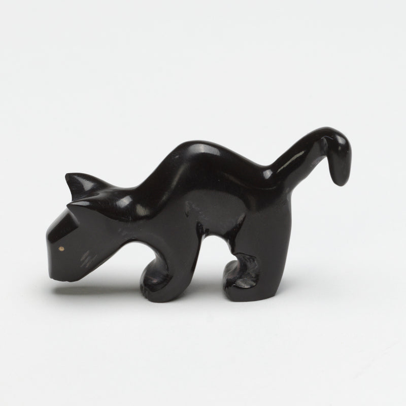 Kenny Chavez: Black Marble , Cat