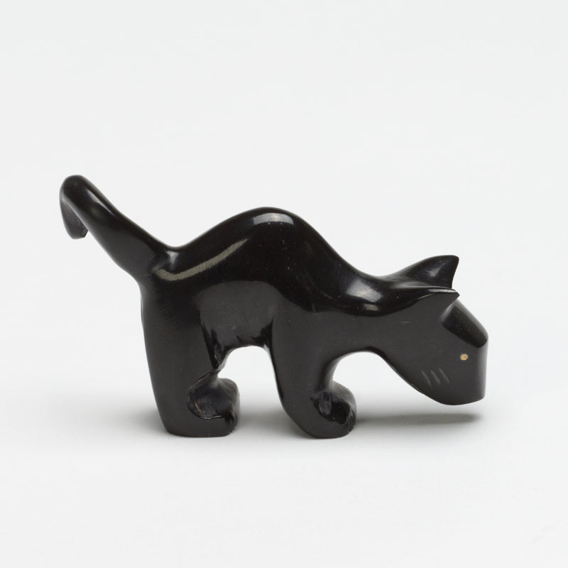 Kenny Chavez: Black Marble , Cat