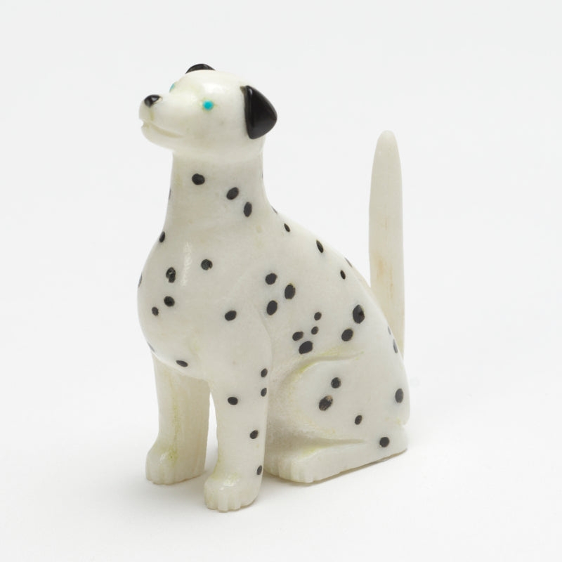 Cody Nastacio: White Marble, Dalmatian