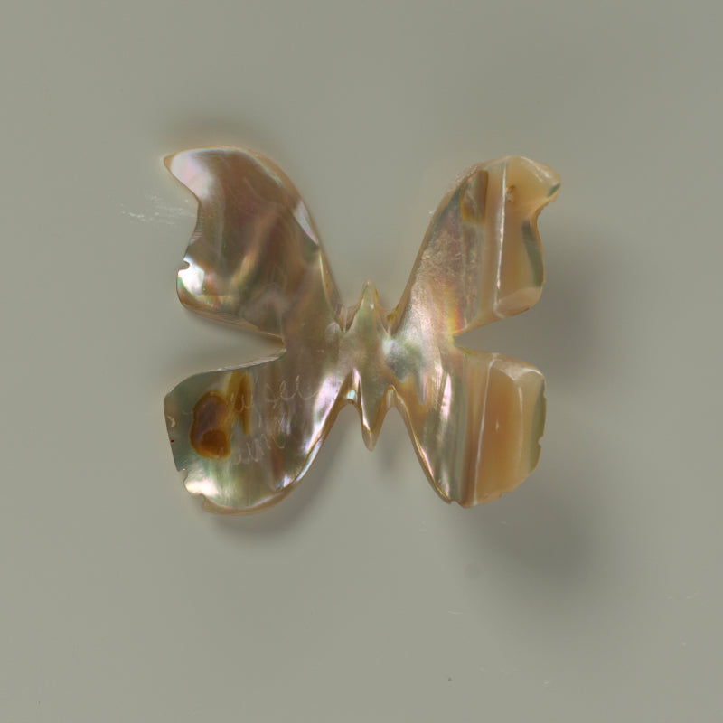 Tammy Deysee: Spiny Oyster Shell, Butterfly