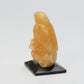 Clayton Panteah: Honey Onyx, Eagle On Ammonite Base