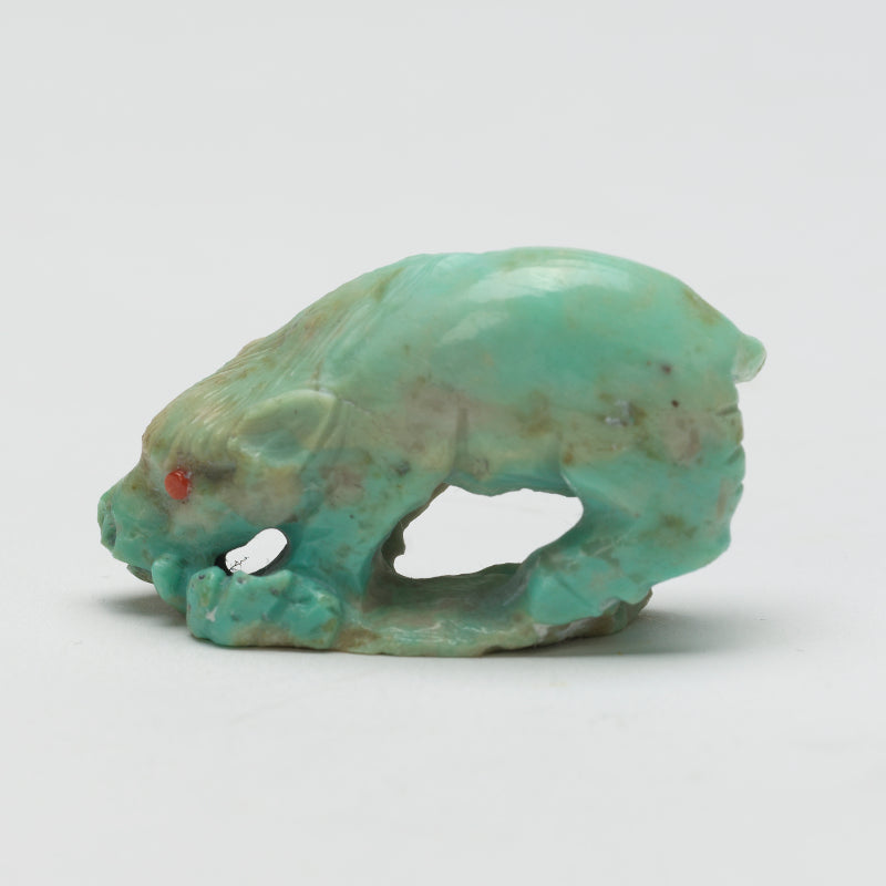 Derrick Kaamasee: Turquoise, Boar