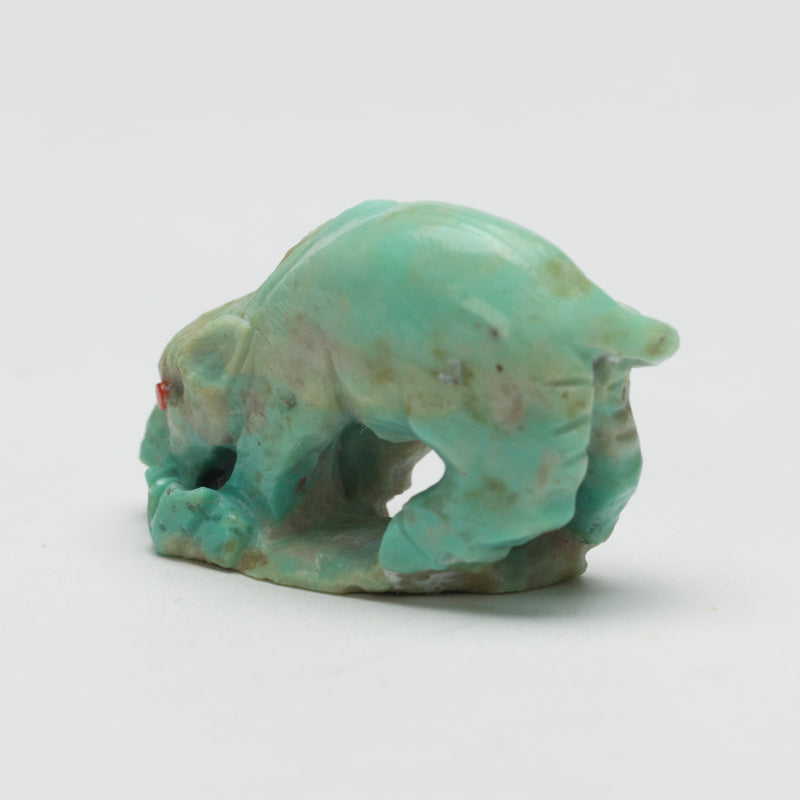 Derrick Kaamasee: Turquoise, Boar