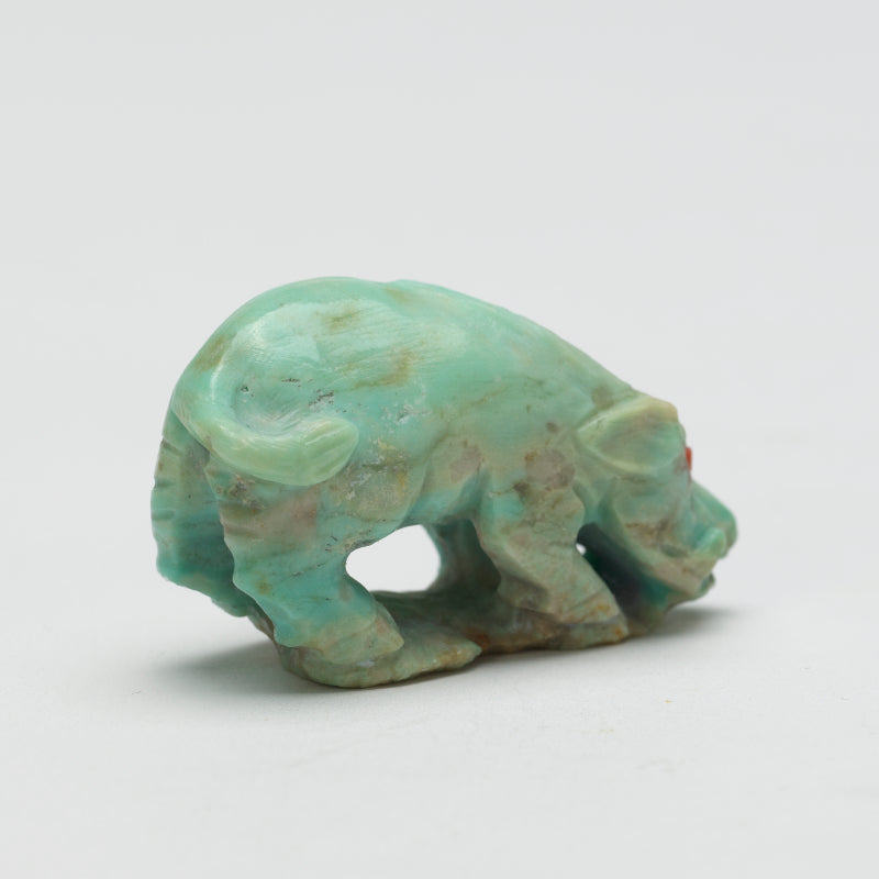 Derrick Kaamasee: Turquoise, Boar