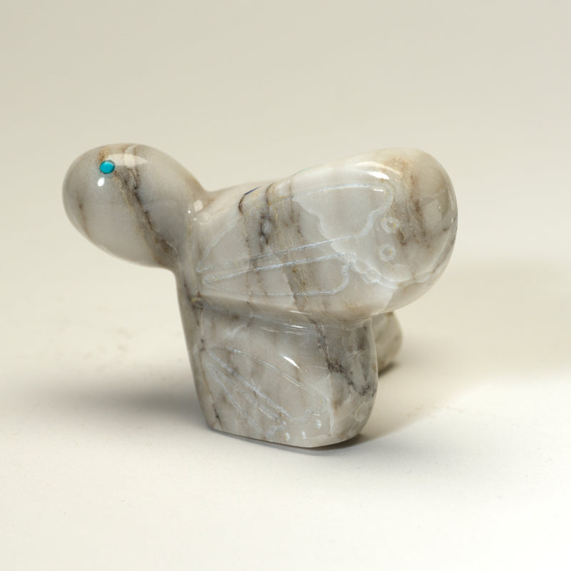 Chassie Panteah: Italian Marble, Butterfly