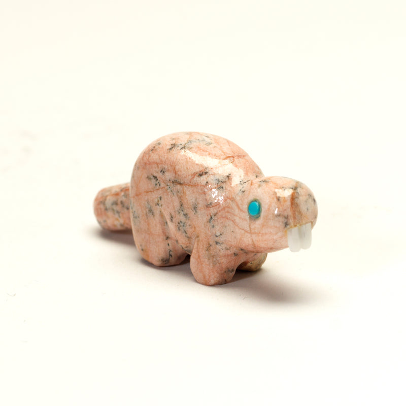 Chassie Panteah: Pink Dolomite, Beaver