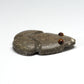 Waldo Davis: Fossil, Frog with Tigereye eyes