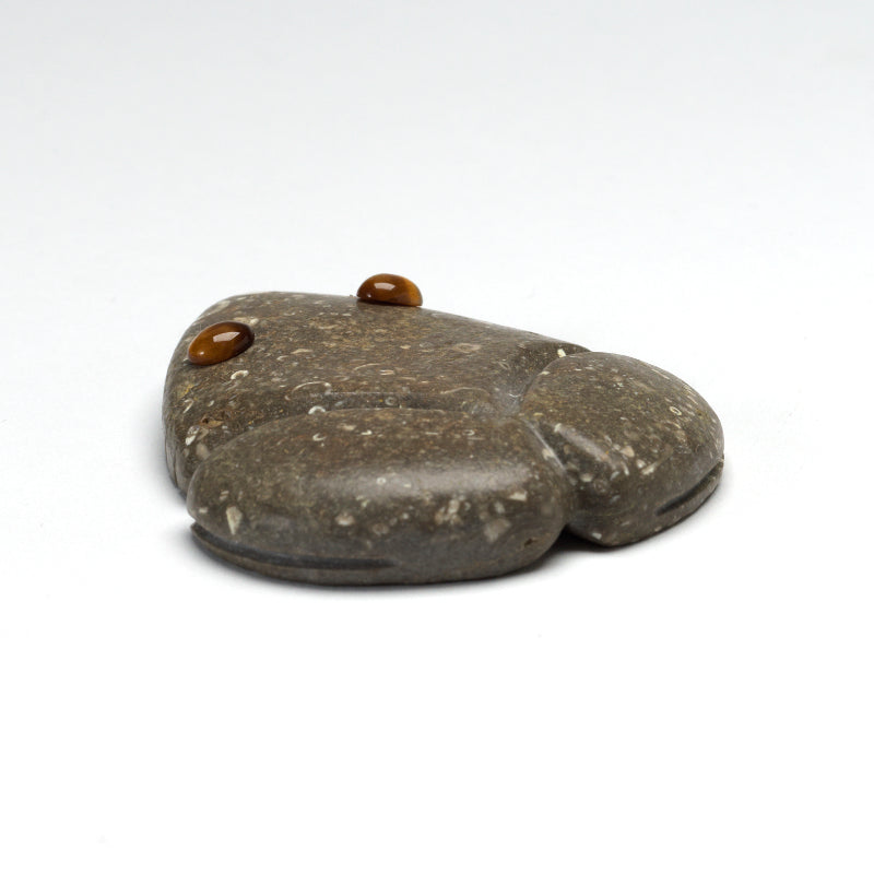 Waldo Davis: Fossil, Frog with Tigereye eyes