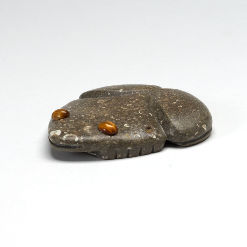 Waldo Davis: Fossil, Frog with Tigereye eyes