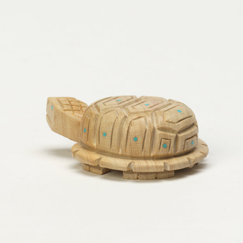 Douglas Martza: Jasper, Turtle