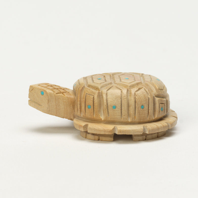 Douglas Martza: Jasper, Turtle