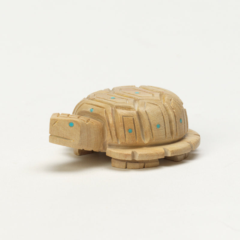 Douglas Martza: Jasper, Turtle