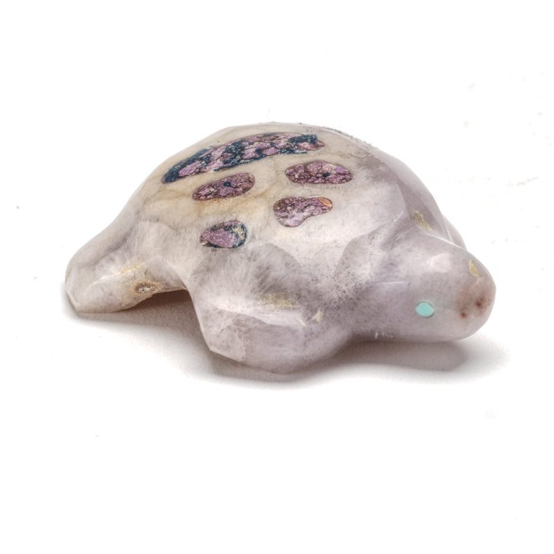 Jayne Quam: Young Fluorite Mosaic, Turtle