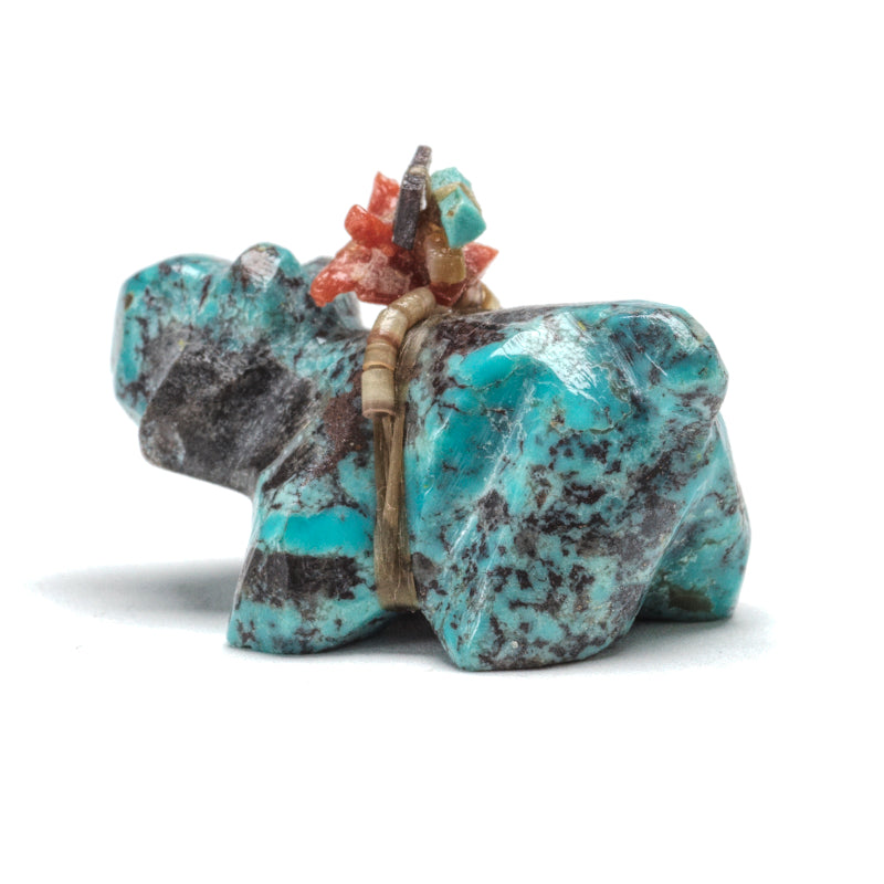 Daryl Shack: Turquoise, Bobcat