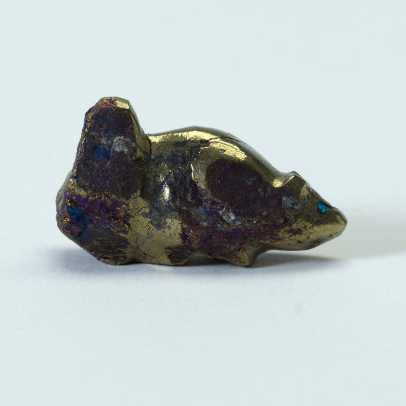 Abby Panteah: Peacock Pyrite, Squirrel