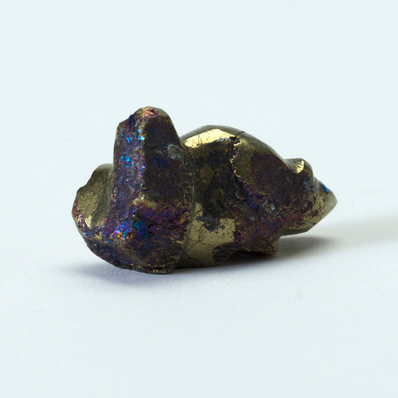 Abby Panteah: Peacock Pyrite, Squirrel