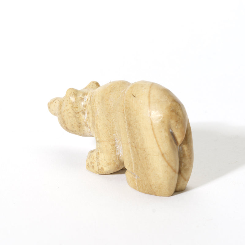 Brian Yatsattie: Picture Jasper, Bear