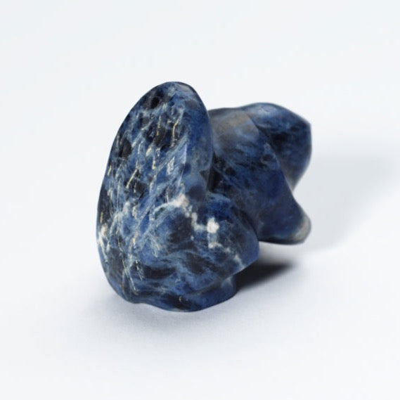 Dee Edaakie: Sodalite, Beaver