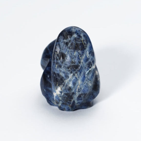 Dee Edaakie: Sodalite, Beaver