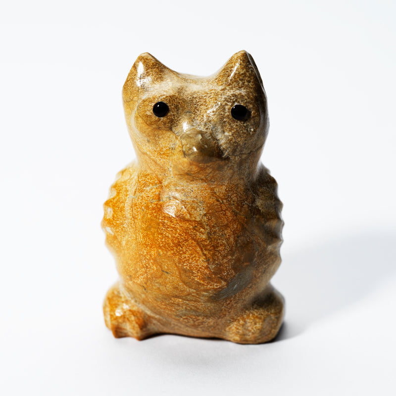 Hayes Leekya: Zuni Stone, Owl