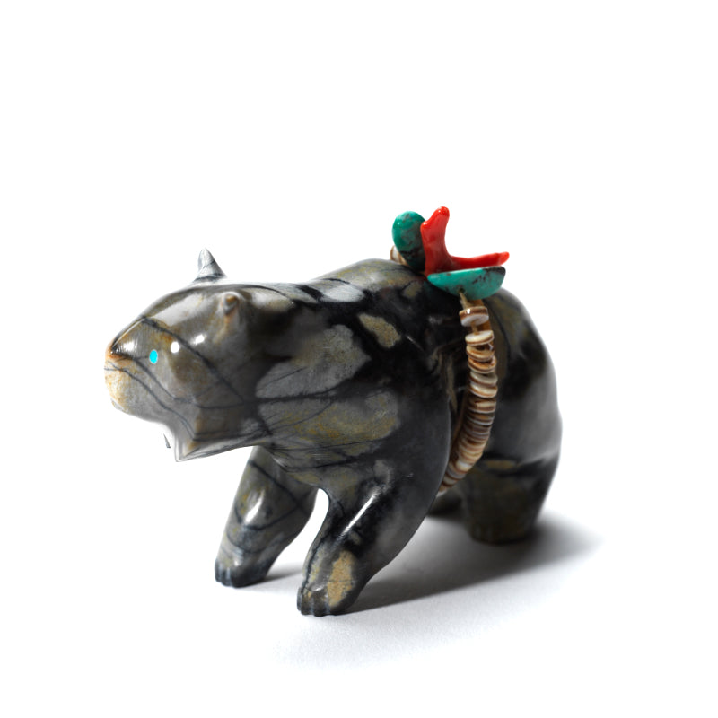 Christopher Sandoval: Polychrome Jasper, Bobcat