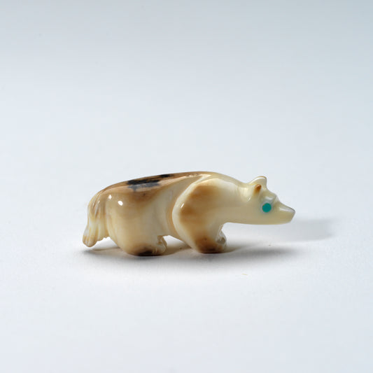 Jeffrey Yunie: Fossilized Walrus Tusk, Wolf