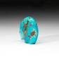 Stewart Quandelacy: Turquoise, Bear with Red Coral Heartline