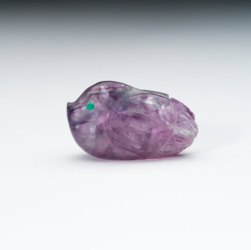 Kateri Q. Sanchez: Fluorite, Bird