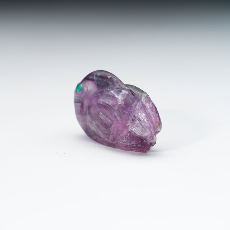 Kateri Q. Sanchez: Fluorite, Bird