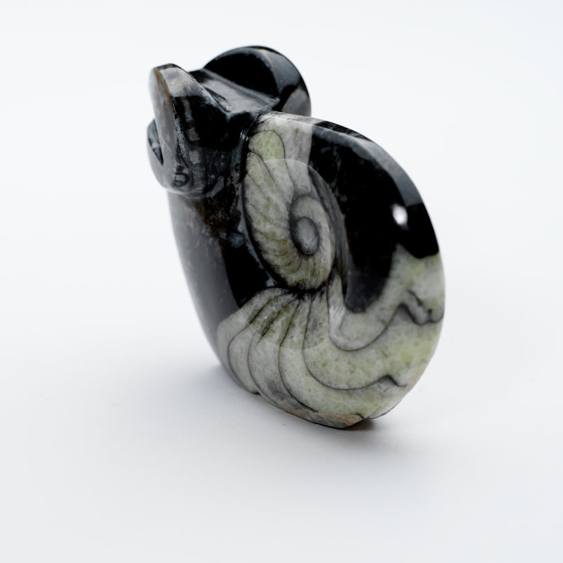 Clayton & Abby Panteah: Ammonite Marble, Ram