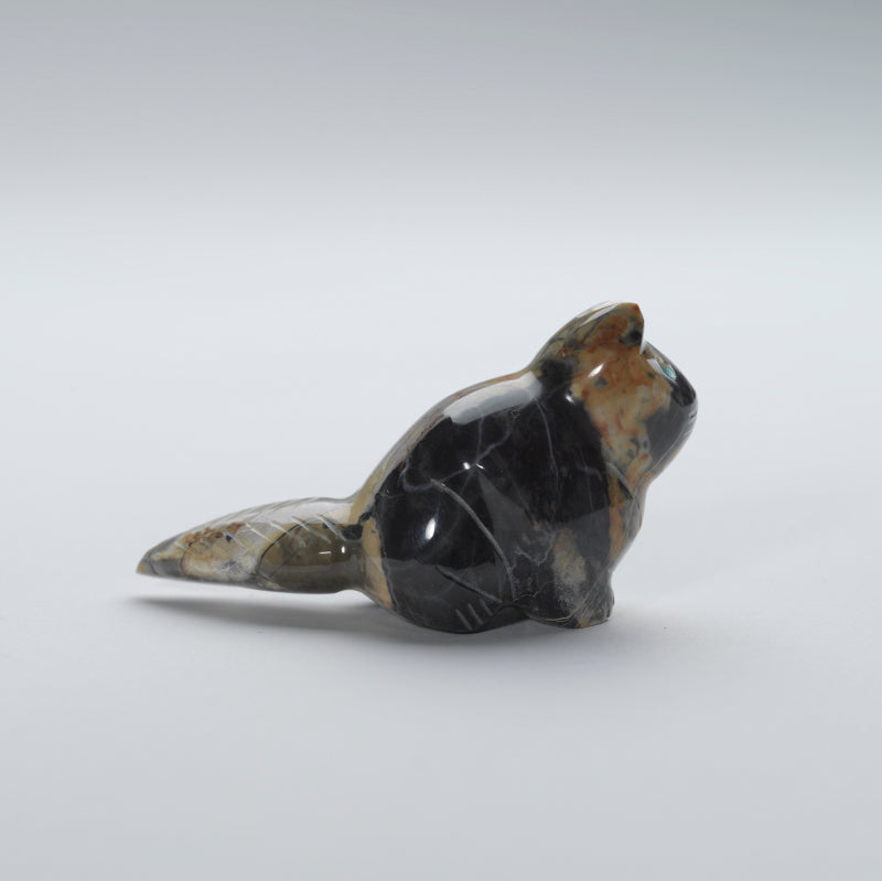 Leland Boone & Daphne Quam: Leopard Marble, Cat